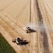 Словакия ужесточает эмбарго на украинскую сельхозпродукцию
