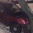 Нетрезвый водитель выехал за пределы проезжей части и врезался в дерево в Минске