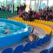 В Минском дельфинарии дельфин выпрыгнул из бассейна