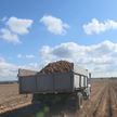 Минсельхозпрод: продовольственная безопасность белорусов будет полностью обеспечена