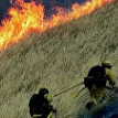 В Калифорнии электрокомпанию наказали на $2 миллиарда за пожары