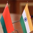 Глава МИД Беларуси Алейник направится с официальным визитом в Индию