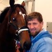 Кадыров выкупил своего украденного коня у СБУ
