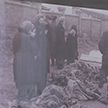 Факты о злодеяниях нацистов в оккупированном Гомеле представили на уникальной выставке