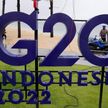Половина стран G20 не поддерживают стремление США изолировать Россию