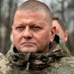 Залужный может устроить военный переворот на Украине, сообщил Гагин