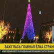 Главная елка страны засияла на Октябрьской площади