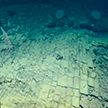 Ученые обнаружили «Дорогу из желтого кирпича» на дне Тихого океана