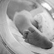Мать родила ребёнка спустя 56 дней после своей смерти в Польше
