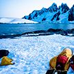 Загадочные смерти на американской исследовательской базе в Антарктиде