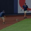 Кот выбежал на поле во время бейсбольного матча. Посмотрите, что он делает! Даже игроки начали наблюдать за ним! (ВИДЕО)