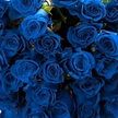 Генетики из Китая создали синие розы