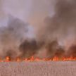 Изменения климата ведут к потерям: крупный пожар охватил пастбища в Аргентине