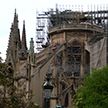 Во Франции одобрили законопроект о восстановлении собора Парижской Богоматери