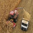 Важный рубеж преодолели белорусские аграрии – 8 миллионов тонн зерна