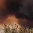 В Чили из-за жары сгорело 750 гектаров леса