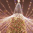 В Минске открылась выставка креативных новогодних деревьев «ТехноЕлка»