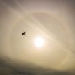 Необычное природное явление: в небе над Ратомкой образовалась радуга вокруг солнца