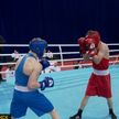 В Минске завершился международный турнир по боксу среди юниоров памяти Владимира Ботвинник