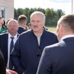 «Полный бардак и разболтанность». Лукашенко высказался по поводу кадров в Крупском районе