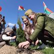 Как Беларусь отпраздновала 9 Мая: репортаж из регионов