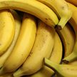 Под Новолукомлем собирают урожай бананов