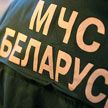 Сотрудники МЧС ликвидировали пожар в производственном помещении в Молодечненском районе