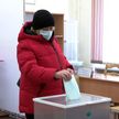 23 февраля - второй день досрочного голосования на референдуме. Игорь Карпенко и Владимир Перцов сделали свой выбор