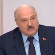 Александр Лукашенко на обсуждении законопроекта о ВНС: собрание не может вмешиваться в деятельность других органов