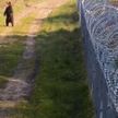 Мохнатый «пограничник» был замечен на границе Беларуси и Литвы