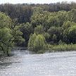 Уровень воды на Припяти возле Петрикова превысил опасную высокую отметку