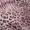 На скрытую камеру попал редчайший розовый леопард