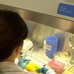 В Академии наук представили прототипы белорусских вакцин против гриппа