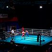 В Минске стартовал международный турнир по боксу памяти Виктора Ливенцева