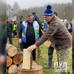 Лукашенко об энергокризисе в Европе: Там дрова купить не могут, а мы тут развлекаемся этими дровами