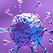 Ученые искусственно создали коронавирус в лаборатории