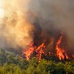 Четыре населённых пункта эвакуированы из-за лесного пожара на греческом острове Эвбея
