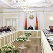 Александр Лукашенко провел совещание по развитию свиноводства