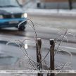 Оранжевый уровень опасности объявлен на 7 декабря в Беларуси