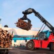 Лукашенко о работе Светлогорского ЦКК: проблему доставки балансовой древесины нужно решить в этом году