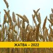 Урожай-2022: второй миллион тонн зерна собрали аграрии Беларуси