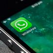 Несогласных с новыми правилами пользователей WhatsApp будут удалять