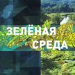 Кто и как в Беларуси решает экологические проблемы? Рубрика «Зеленая среда»