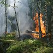 За сутки в Беларуси произошли четыре пожара в зеленых массивах