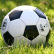 Сборная Италии по футболу обыграла Албанию на Евро-2024
