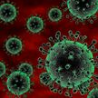 Минздрав: в Беларуси провели более 31 тысячи тестов на коронавирус