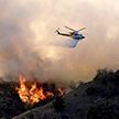 Увеличилось число жертв пожара в Калифорнии