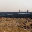 Площадь крупного пожара на торфяниках в Гомельской области удалось сократить