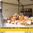 Как работать исключительно на белорусском сырье и найти своего покупателя? Репортаж из Ивацевичского района