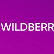 Основательница Wildberries обвинила экс-мужа в подготовке провокаций